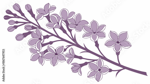Delicate Lilac Flower Branch Illustration Perfect For Spring Wedding Invitations Branding Packaging Design