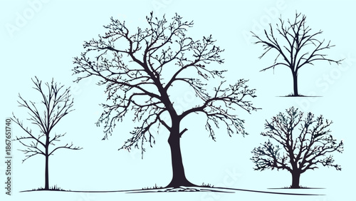 Bare Winter Trees Silhouettes Set for Landscape Design Seasonal Graphics Environmental Illustrations Woodland Decor