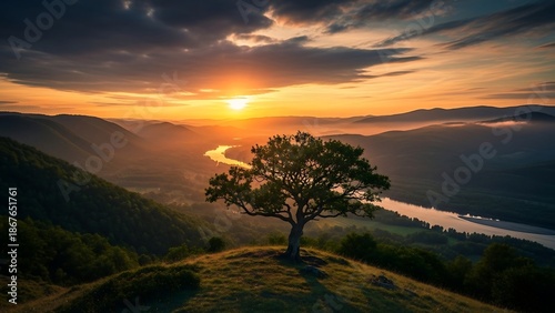 serene landscape with tree at sunset.