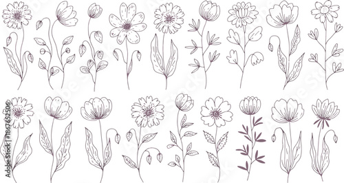 Line of various flowers with purple and white colors on a white background line flowers botanical floral