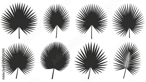 Collection of palm tree silhouettes against a white background