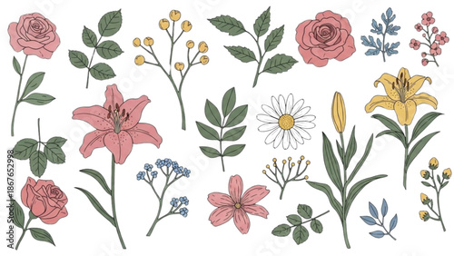 A collection of assorted flowers and plants illustrated in a variety of colors and styles on a white background.