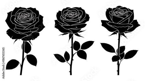 Three black roses with leaves illustrated against a white background from a straightforward viewpoint