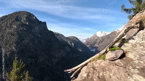 Golden Eagle in Slow Motion Flying Over the Italian Alps