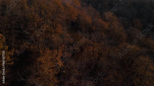 Mystic autumn aerial - forest and hills drone footage