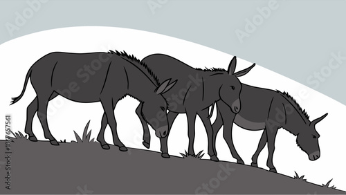 Three Dark Donkeys Grazing Downhill on Grassy Slope for Agriculture or Stubbornness Metaphor Design