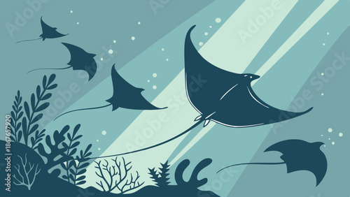 Graceful Manta Rays Swimming Underwater Ocean Scene for Nature Ecology Education Website Background Design