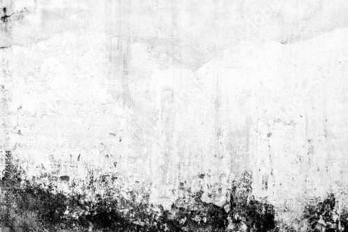 Wallpaper Mural Old weathered concrete wall with black mold texture Torontodigital.ca