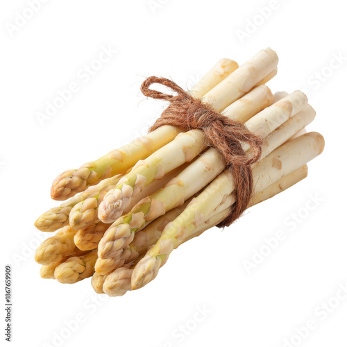 Bundle of fresh white asparagus tied with twine on transparent background