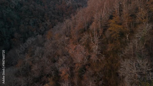 Mystic autumn aerial - forest and hills drone footage