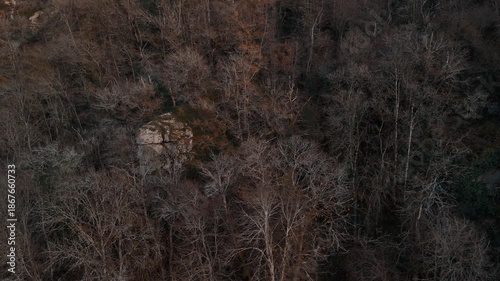 Mystic autumn aerial - forest and hills drone footage