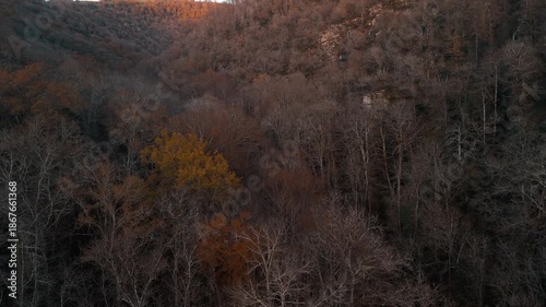 Mystic autumn aerial - forest and hills drone footage