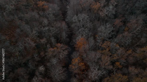 Mystic autumn aerial - forest and hills drone footage