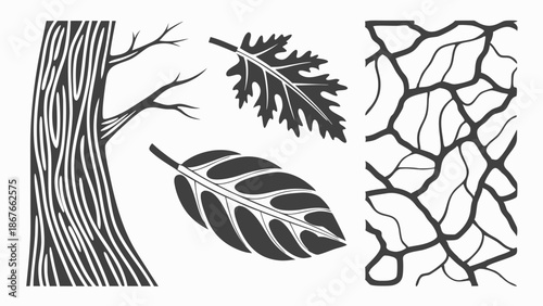 Wood Grain Tree Bark Leaf Vein Pattern Set Nature Textures for Rustic Design Projects and Organic Branding