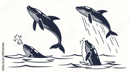Dynamic Orca Whales Breaching and Spouting Water for Wildlife Documentary or Ocean Theme Web Design Projects