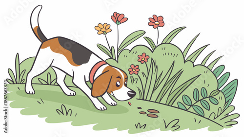 Curious Beagle Dog Sniffing Seeds on Grassy Hillside for Pet Food Advertising or Nature Illustration