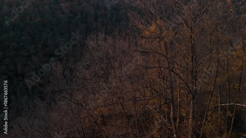 Mystic autumn aerial - forest and hills drone footage