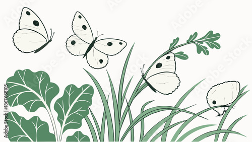 Delicate White Cabbage Butterflies Fluttering Over Lush Green Spring Garden Foliage for Nature Websites