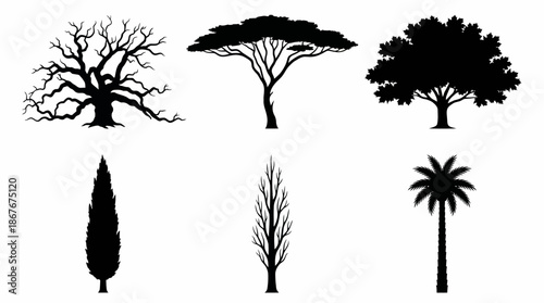 Tree Silhouette Vector Set Featuring Broadleaf and Coniferous Types for Botanical Education, Landscape Design, and Environmental Visualization Projects