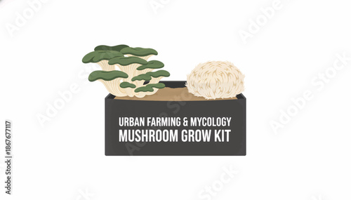 Mushroom grow kit for urban farming and mycology. Flat design vector illustration of oyster and lion's mane mushrooms. Home gardening and sustainable food production concept