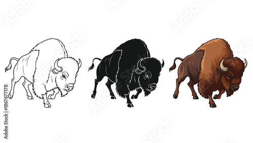 Set of three american bison buffalo illustrations outline drawing, silhouette, and full color realistic depiction