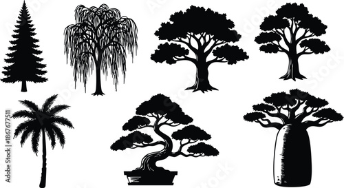 Silhouette tree vector set pine willow oak palm baobab bonsai isolated black shapes variety of canopy forms side view detailed trunk textures layered foliage scalable ornamental