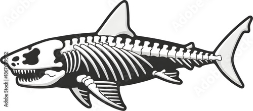 Shark skeleton sticker with sharp teeth on black