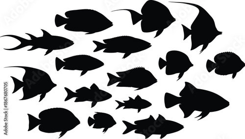 a striking silhouette of a school of fish swimming together in a dynamic arrangement capturing the essence of marine life