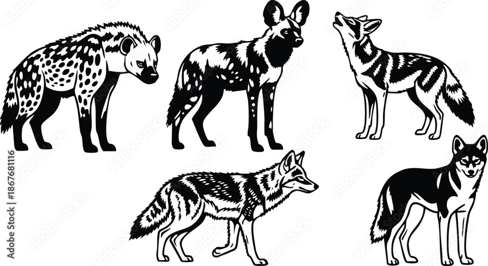 Obraz premium Line art detailed black and white wildlife canids set hyena african wild dog jackal coyote wolf five profile views isolated vector silhouettes decorative side stanced ornamental