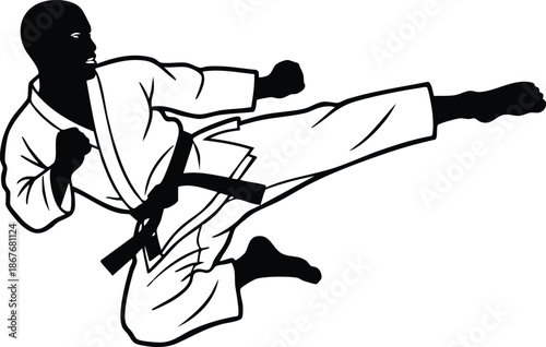 Line art dynamic side kick martial artist in white gi with black belt mid air angled low angle profile high contrast bold stroke clean vector silhouette