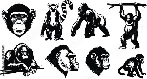 Tattoo flash primate heads and full body poses chimpanzee gorilla lemur orangutan baboon mandrill sitting walking hanging from branch side profile close up three quarter view