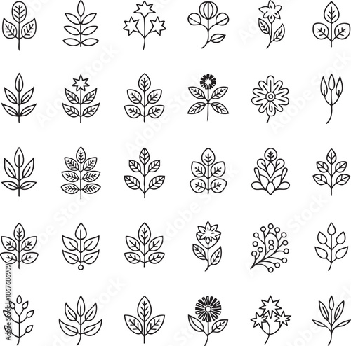 Collection of black and white botanical line of leaves and flowers 1