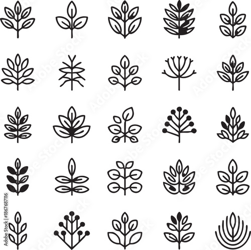 Collection of black and white leaf and plant botanical
