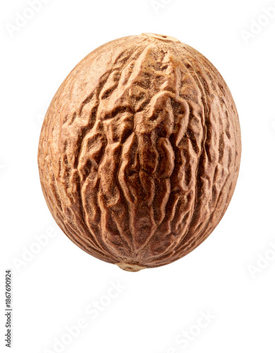 Whole nutmeg seed spice ingredient on transparent background