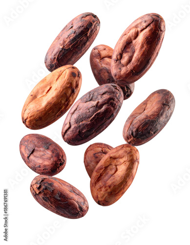Raw organic cocoa beans falling on transparent background