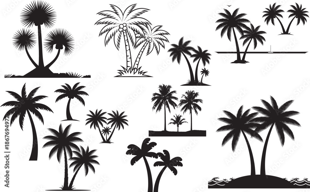 Fototapeta premium Silhouette of various palm trees isolated on transparent background