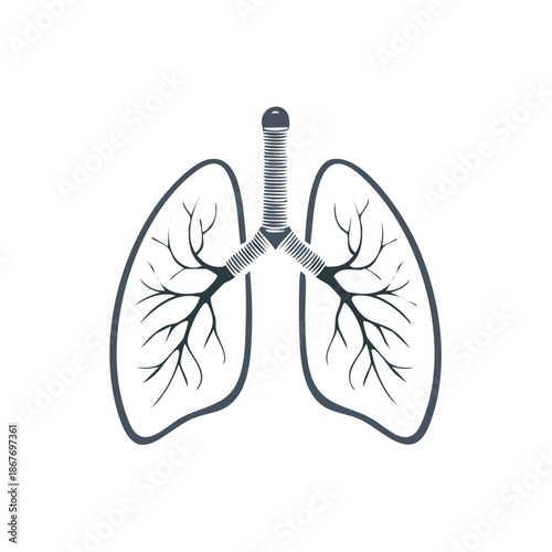 Stylized Lung Anatomy Illustration Featuring Trachea, Bronchi, and Alveoli Structures in Gray