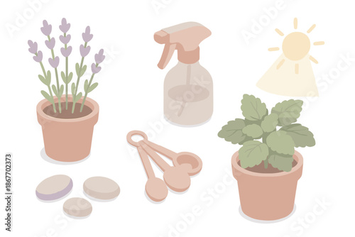 Garden Aroma Shelf. Isometric vector illustration set Garden Aroma Shelf: lavender pot, lemon balm plant, spray bottle, measuring