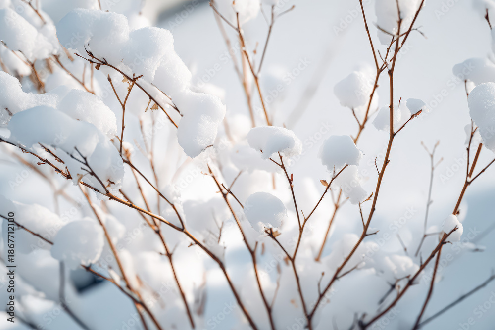 Obraz premium Snow Covered Branches in Winter Landscape