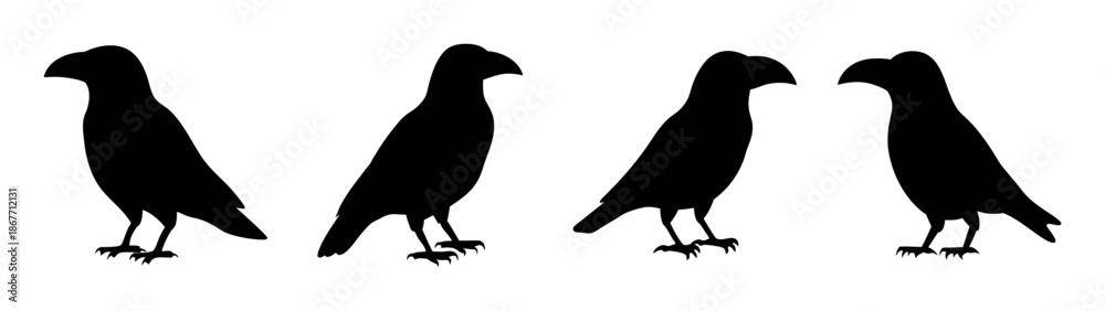 Fototapeta premium Four black bird silhouette vector graphic design illustration standing together isolated art image