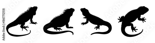 Silhouette of marine iguana reptiles standing in a row, wildlife animal vector illustration