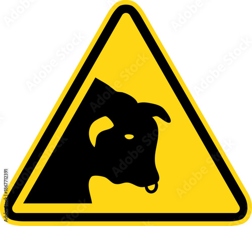 Danger taureaux
