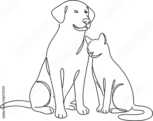 Dog and cat sitting together in a friendly pose