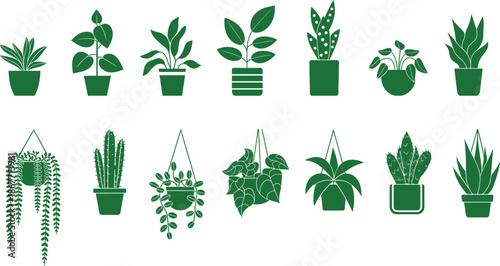 Stylized indoor plant illustration set featuring potted succulents, hanging greenery, and decorative foliage for gardening, design, and educational reference.