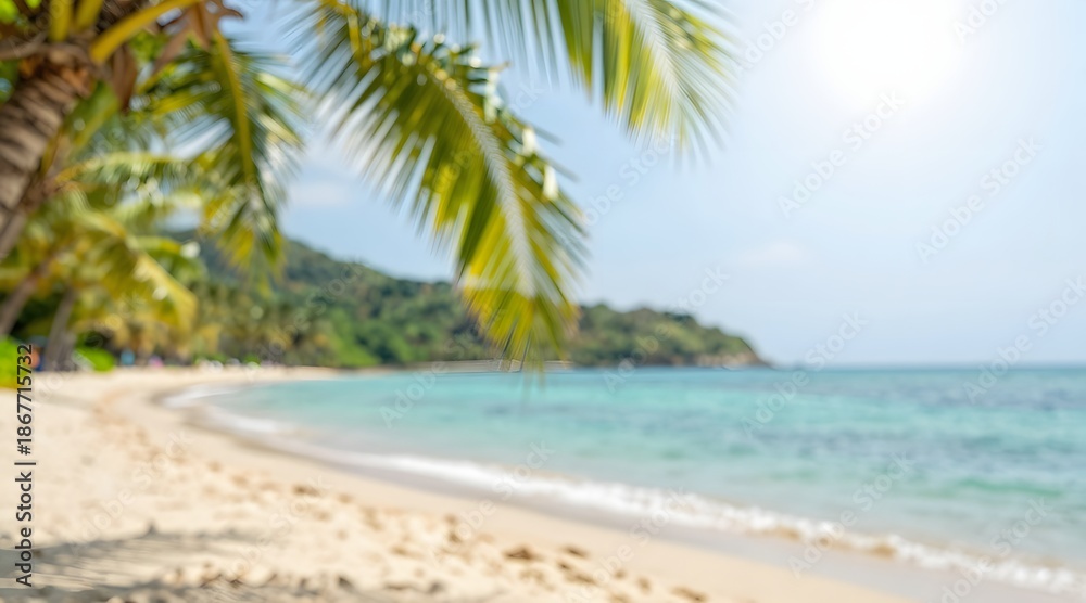 Fototapeta premium Tropical beach with palm trees and turquoise sea in a sunny day