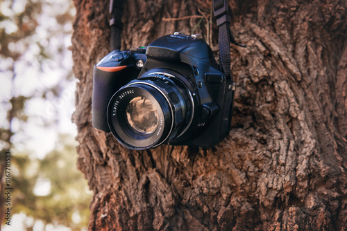 Photographic lens and camera outdoors on a sunny day on the grass, ideal background image