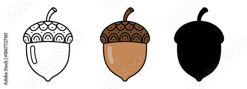 Set of decorative acorn icons with unique dotted and arched cap patterns in outline, earth-tone color, and black silhouette.
