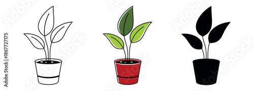 Minimalist indoor plant in a pot shown in three styles: outline, flat color with red pot, and solid black silhouette. Clean vector illustration.