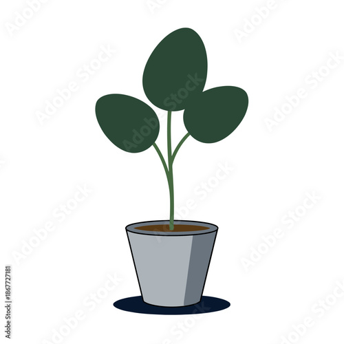 Single potted plant illustration with large round dark green leaves in a grey minimalist pot, isolated on a white background.