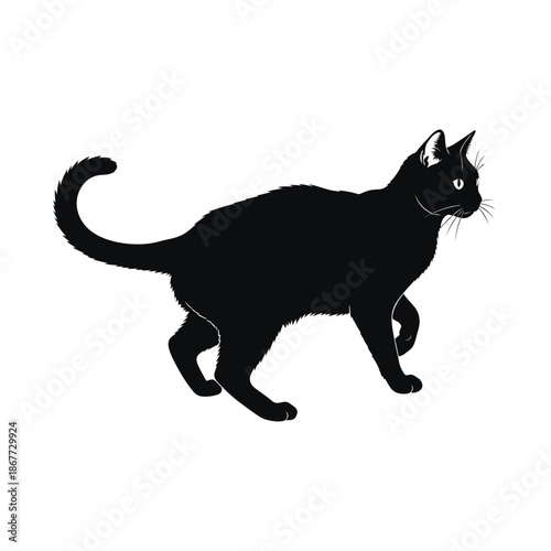 Black cat walking with curled tail and white eyes
